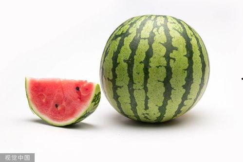 51热门大瓜今日大瓜最新 热门大瓜,今日最新热门大瓜盘点