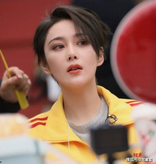 独家爆料喜相迎酒店 明星黑料爆出来可以洗白吗