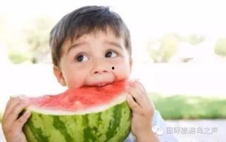 社会热点插画.热门大瓜每日必吃大瓜,紧跟社会热点，畅享热门大瓜盛宴