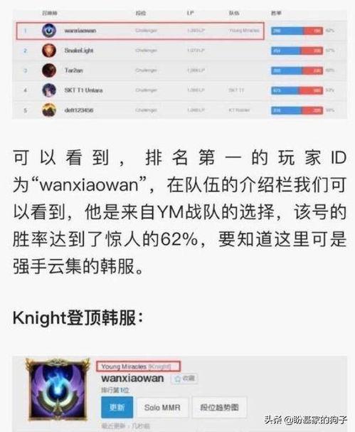 52每日大瓜视频 911八卦爆料网,911八卦爆料网独家爆料，娱乐圈最新动态大起底